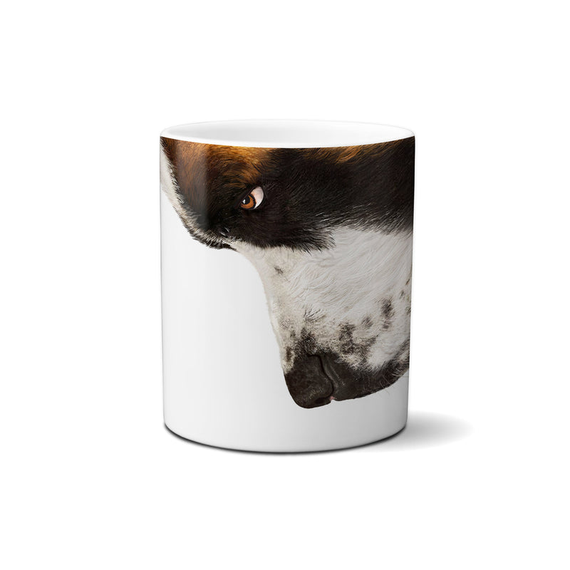 American Brand Studio | St Bernard Snout Mug - 11 oz