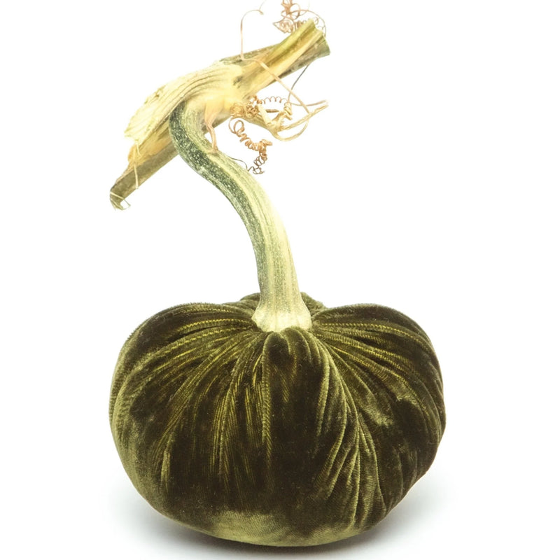 Hot Skwash silk velvet pumpkin with a unique, naturally sourced stem, showcasing artisanal craftsmanship. Perfect for elegant home decor, handcrafted in Oregon.