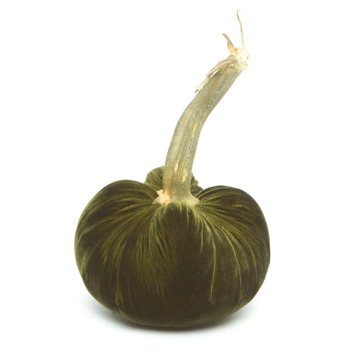 Hot Skwash Silk Velvet Pumpkin, Bronze, 10, featuring a unique, naturally sourced stem, handcrafted for elegance and charm, embodying luxurious, artisanal home decor.