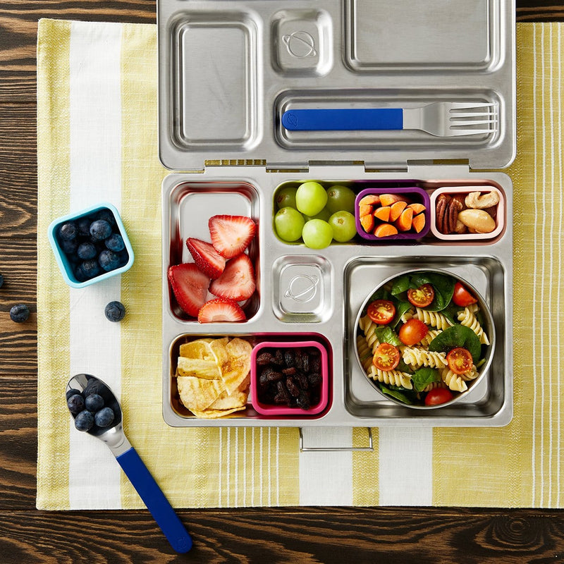 PlanetBox | Pods 4 Pack-Rover, Blossom