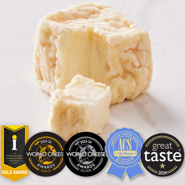 Perrystead Dairy | Intergalactic