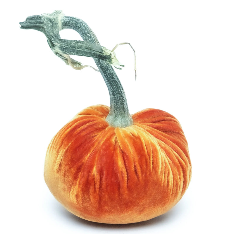 Close-up of a handcrafted Hot Skwash Silk Velvet Pumpkin, showcasing a unique, naturally sourced stem, emphasizing its luxurious and artistic design.