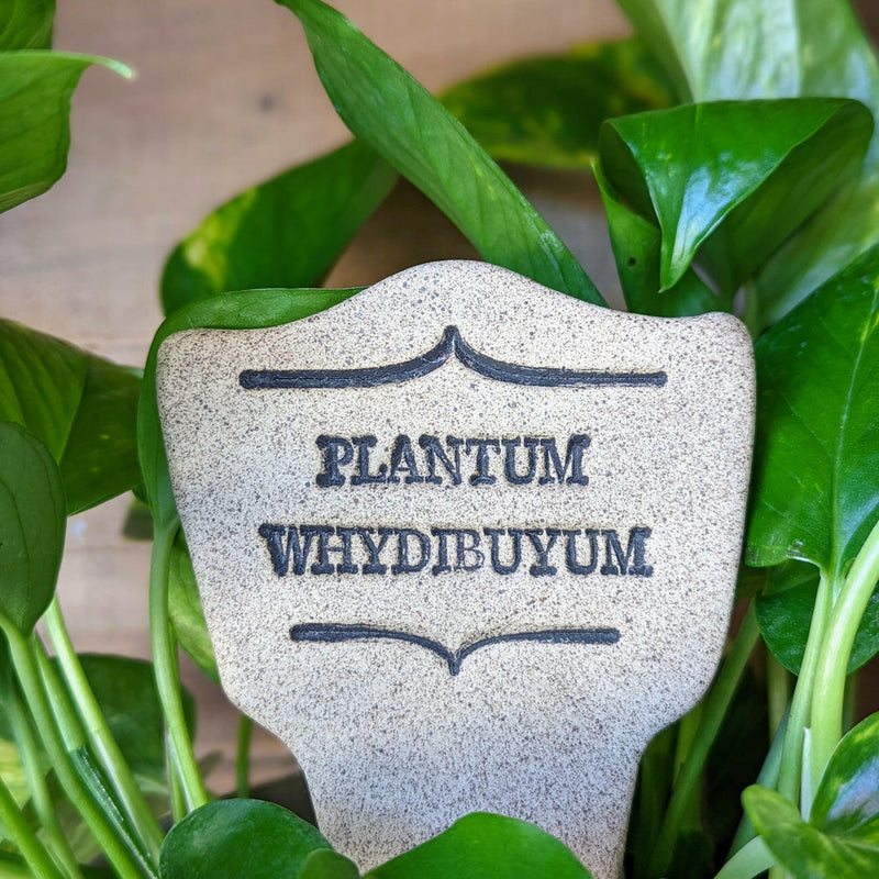 Close-up of a Comic Latin Plant Stake labeled Weedis Victorious, showcasing its handcrafted stoneware design, perfect for adding humor to any garden setting.