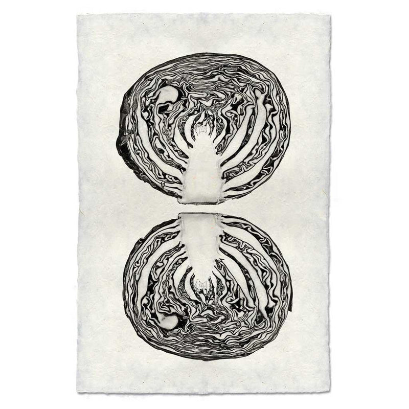 Barloga Studios | Red Cabbage on Nepalese Hand-Made Paper, 9x14 inches