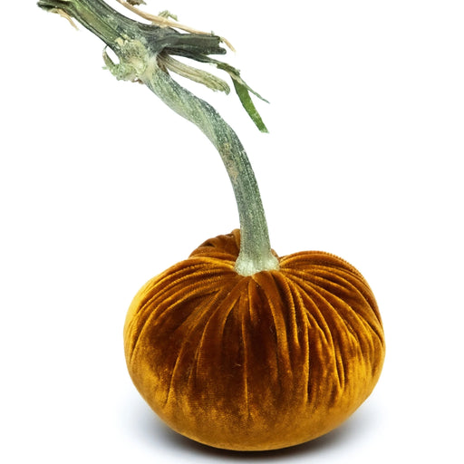 Close-up of a Hot Skwash Silk Velvet Pumpkin with a unique, naturally sourced stem, showcasing artisan craftsmanship and luxury decor elegance from Athens Cooks.