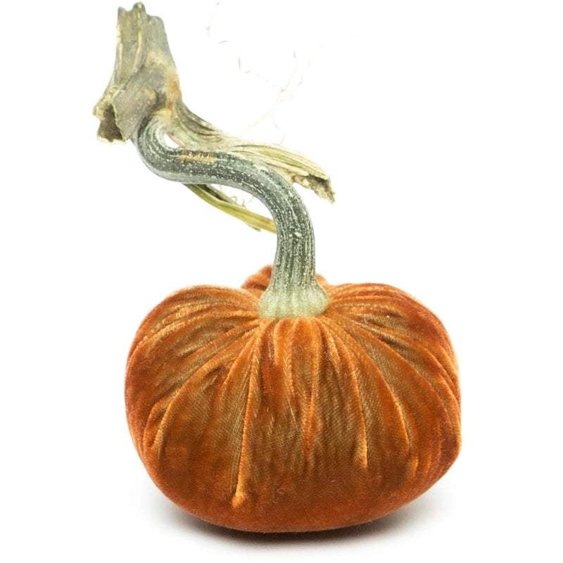 Hot Skwash Silk Velvet Pumpkin - Bronze Jumbo with a unique, naturally sourced stem, showcasing artisanal craftsmanship and elegance for home decor.