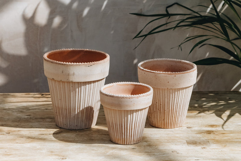 Bergs Potter | Simona Rosa