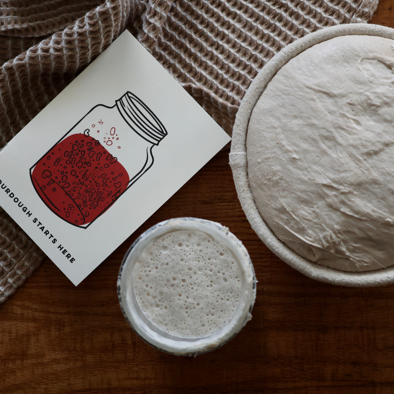 Sourdough Starter Set by Brabantia USA Inc features a bowl of dough and a jar, perfect for home bakers from Athens Cooks kitchen store.