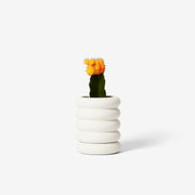 Areaware | Stacking Planters.