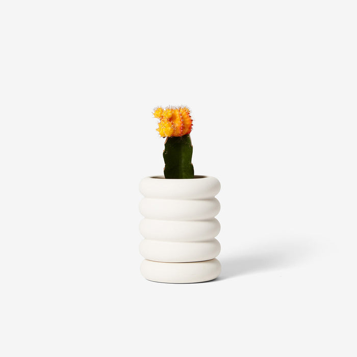 Areaware | Stacking Planters
