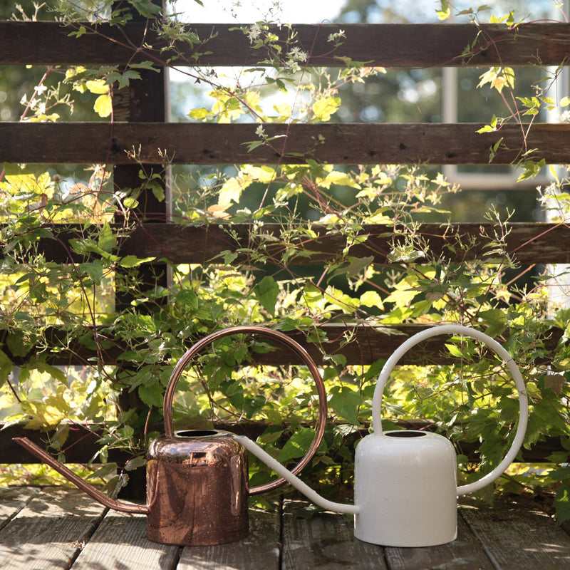 The Floral Society | Watering Can, Copper