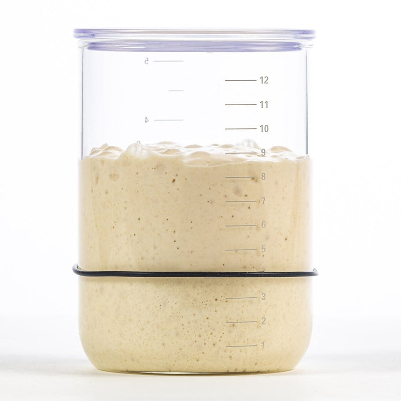 Brod & Taylor Sourdough Starter Jar designed for precise sourdough preparation, ideal for home bakers seeking quality kitchen tools from Athens Cooks.