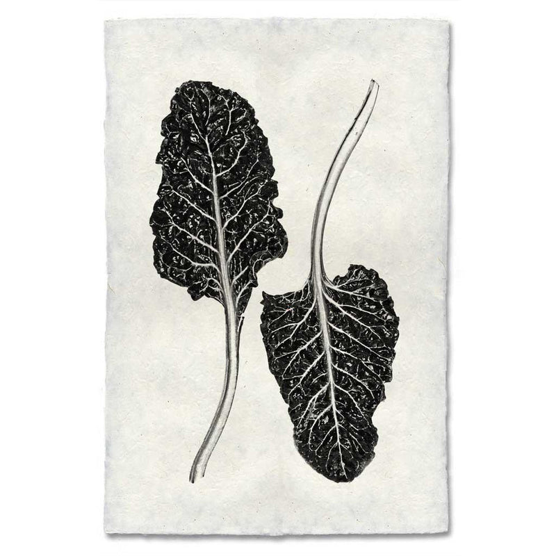 Barloga Studios | Swiss Chard on Nepalese Hand-Made Paper, 9x14 inches