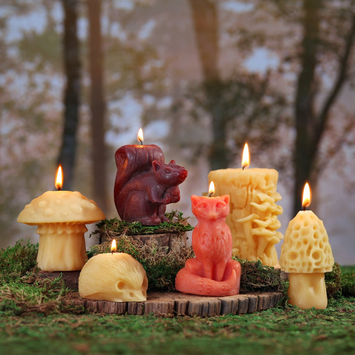 Big Dipper Wax Works | Beeswax Squirrel Candle