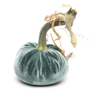 Hot Skwash | Silk Velvet Pumpkins - Wedgwood 3 Inches - features a close-up of a handcrafted velvet pumpkin with a unique, naturally sourced stem, adding elegance to any decor.