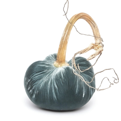 Hot Skwash | Silk Velvet Pumpkins - Wedgwood 3 Inches: Luxurious handcrafted velvet pumpkin with a unique, naturally sourced stem, signed by creator Daria for elegant home decor.