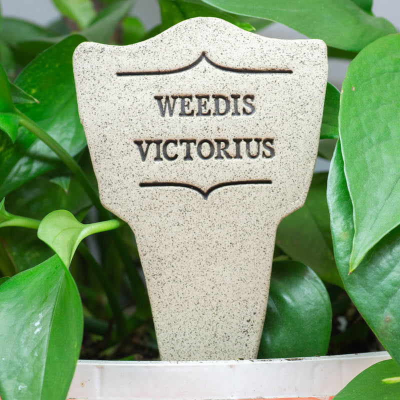 Comic Latin Plant Stakes - Weedis Victorious, handcrafted stoneware with humorous Latin labels, durable and weatherproof, perfect for adding personality to your garden.