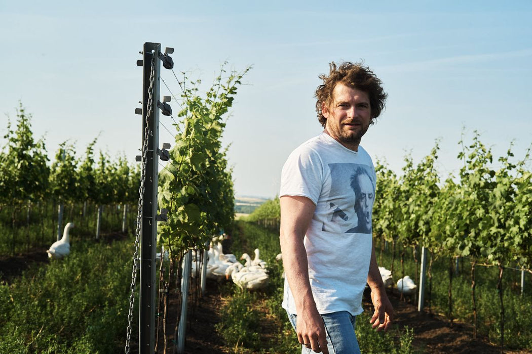 Herbert Zillinger | Neuland Gruner Veltliner