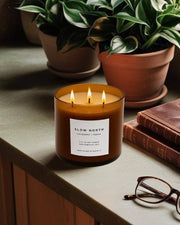 Slow North - Lavender + Cedar Signature 3-Wick Non-Toxic Candle on a tabletop with books and plants, creating a serene ambiance perfect for larger spaces.