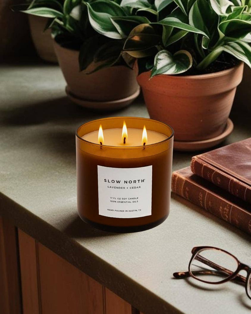 Slow North - Lavender + Cedar Signature 3-Wick Non-Toxic Candle on a tabletop with books and plants, creating a serene ambiance perfect for larger spaces.