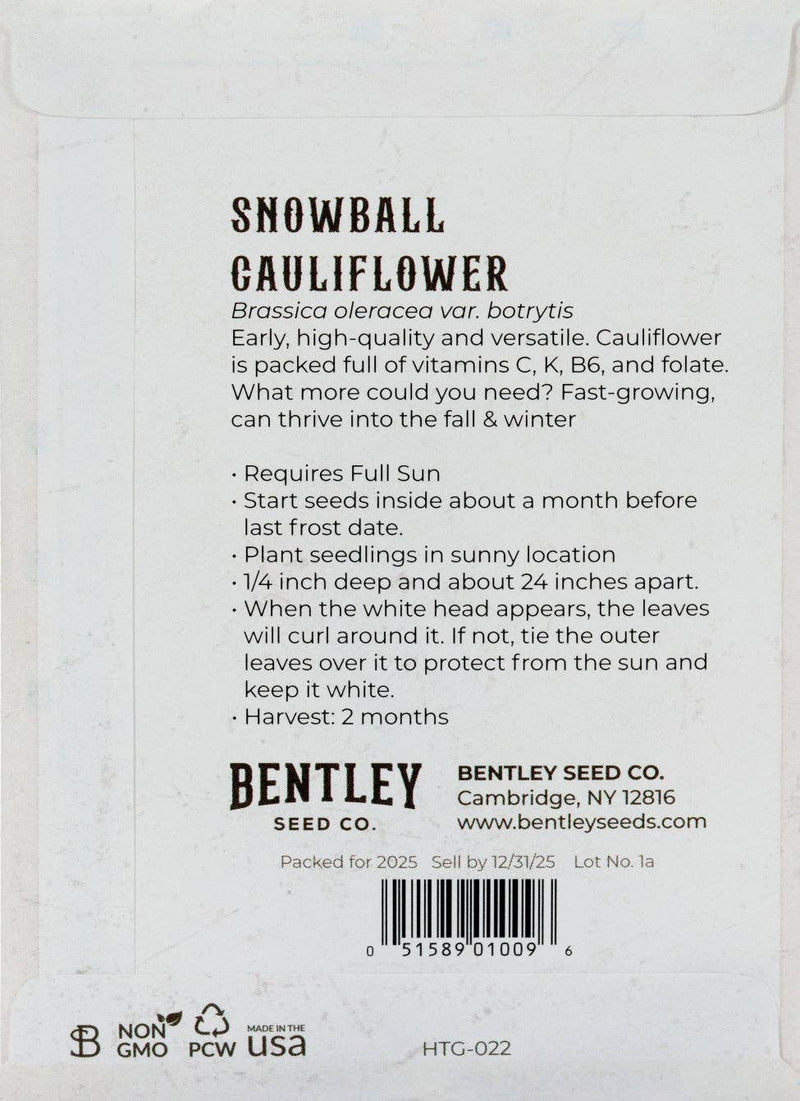 Bentley Seed Co. - Cauliflower-Snowball 1884 seed packet back detailing planting instructions, nutritional info, harvest time, and company details. Ideal for kitchen gardening enthusiasts.