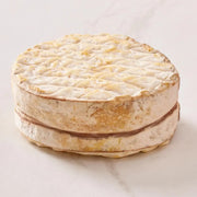 Perrystead Dairy - Treehug cheese, a round, textured delicacy with a fudgy, buttery interior, perfect for baking or as a holiday centerpiece.