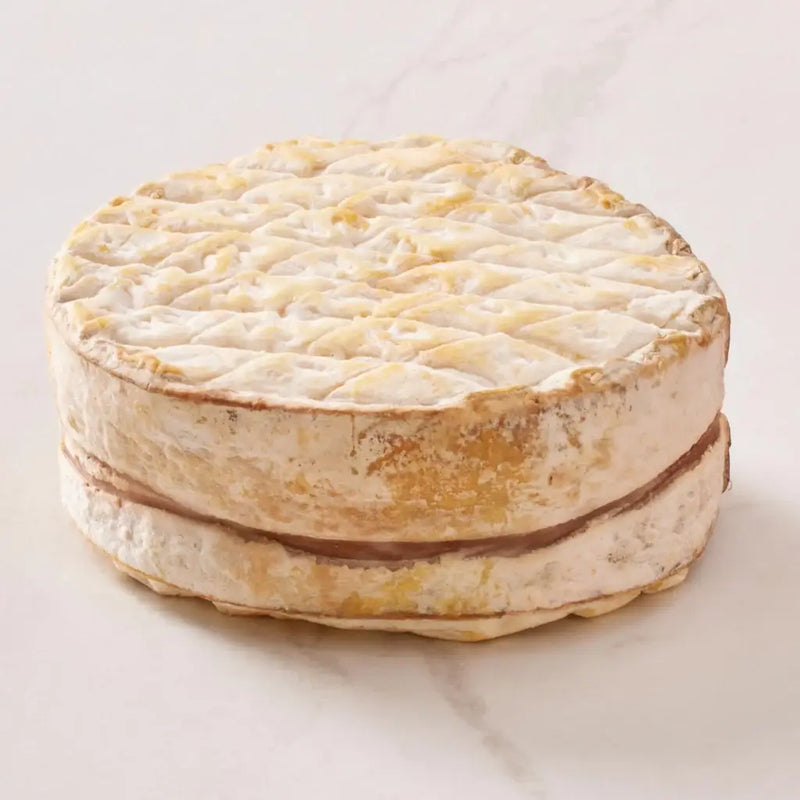 Perrystead Dairy - Treehug cheese, a round, textured delicacy with a fudgy, buttery interior, perfect for baking or as a holiday centerpiece.