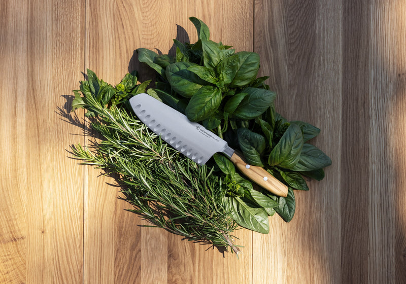 Wüsthof | Amici 7 Santoku knife resting on a pile of fresh herbs, showcasing its precision cutting capabilities, ideal for culinary enthusiasts.