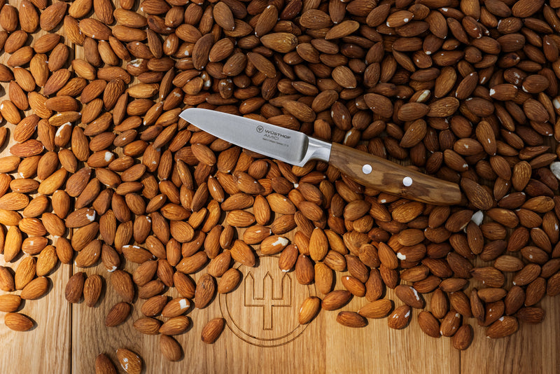 Wüsthof Amici 3 1/2 Paring Knife resting on a pile of nuts, highlighting its precision and craftsmanship for culinary enthusiasts.