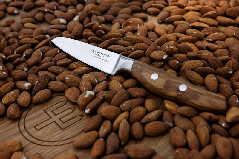 Wüsthof Amici 3 1/2 Paring Knife displayed on a pile of nuts, showcasing its refined craftsmanship and precision for culinary tasks.