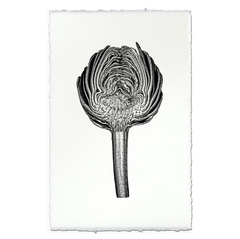 Barloga Studios | Artichoke on Nepalese Hand-Made Paper, 9x14 inches