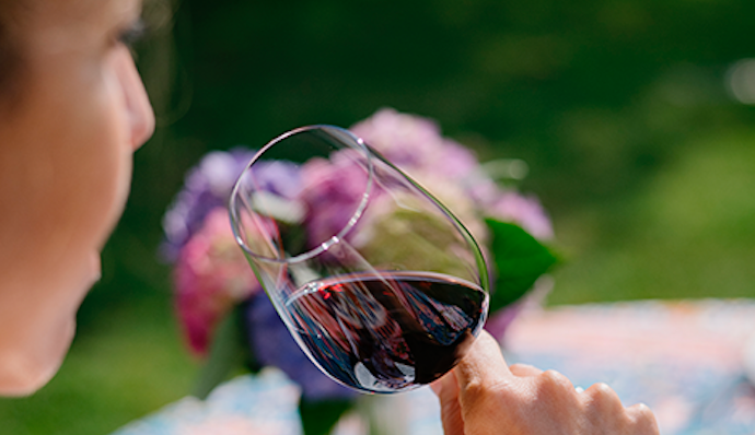 Chateau Cantemerle | Haut-Médoc Wine 2019