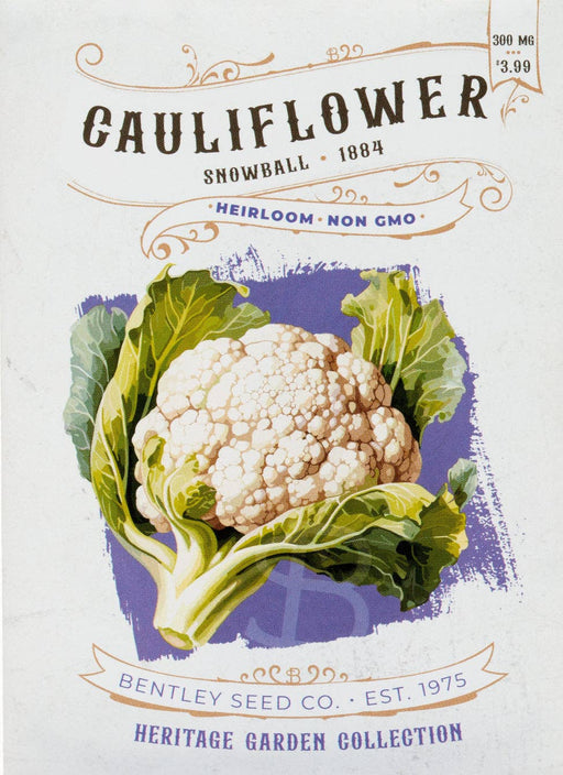 Bentley Seed Co. - Cauliflower-Snowball 1884 vintage-style seed packet label with heirloom details, watercolor illustration, and growing instructions, priced at $3.99.