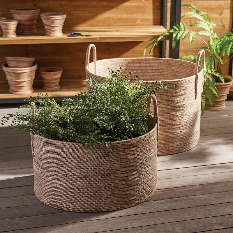 Napa Home & Garden Burma Rattan Hampers with Handles, Set of 2, featuring tight weave and whitewash finish, ideal for stylish interior storage.