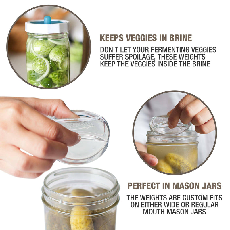 Masontops | Glass Fermentation Weights - Wide Mouth shown in a jar, ideal for submerging fermenting foods below brine. Perfect for small-batch fermentation in Mason jars.