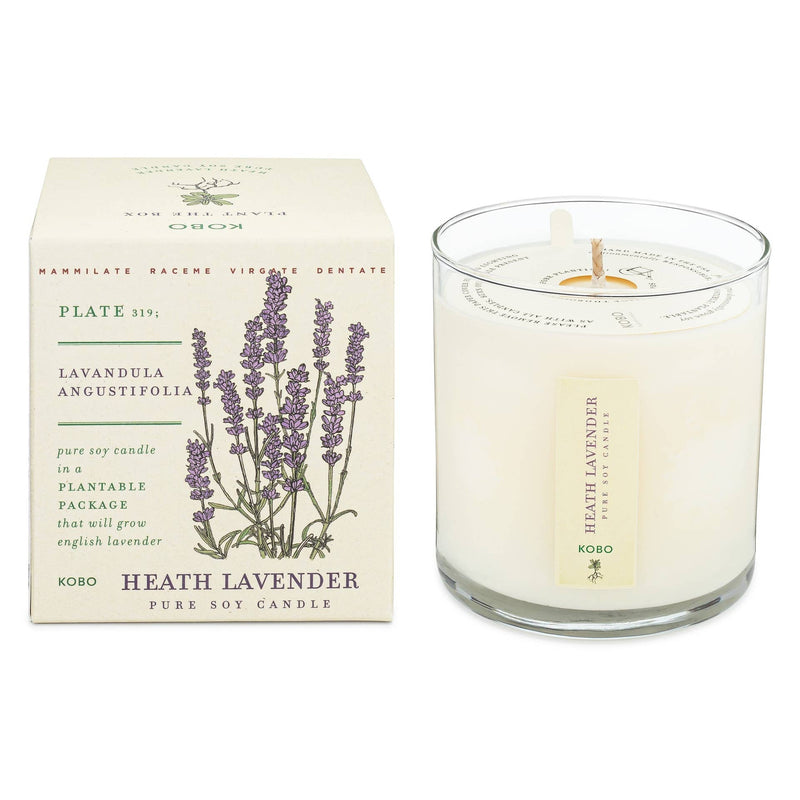 KOBO - Heath Lavender - Plant the Box Candle, 9oz. in a glass container, features a classic lavender scent with a decorative lavender-themed box.
