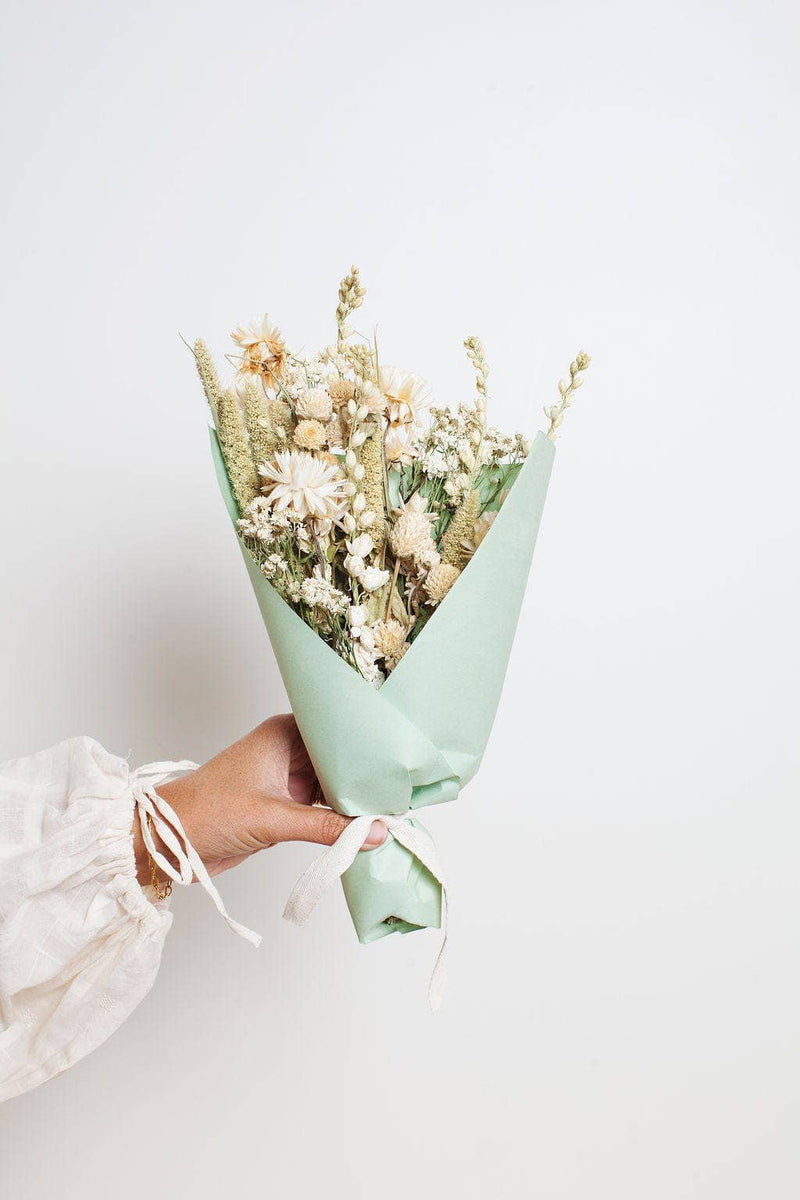 Idlewild Floral Co. - Sage Small Field Bouquet held in a hand, featuring creamy white and muted beige dried flowers in a mint-green paper cone with a white ribbon.