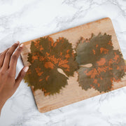 Formaticum | Cheese Board Liners - Large, featuring wax-coated parchment with grape leaf design, held on a cutting board, enhancing cheese presentations with elegance and eco-friendliness.