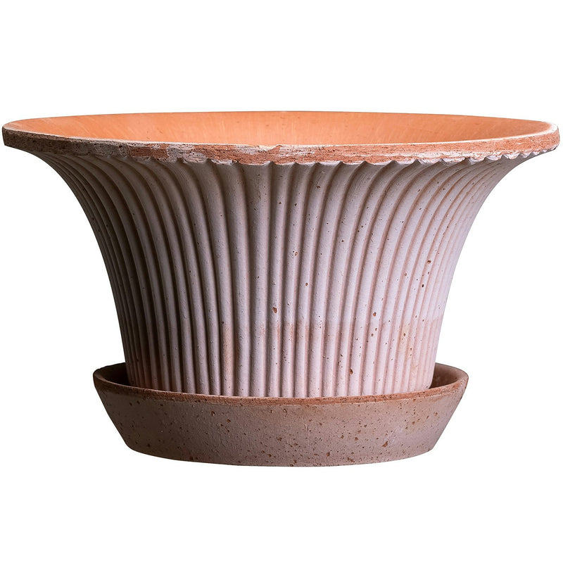 Bergs Potter | Daisy Rosa Wall Pot