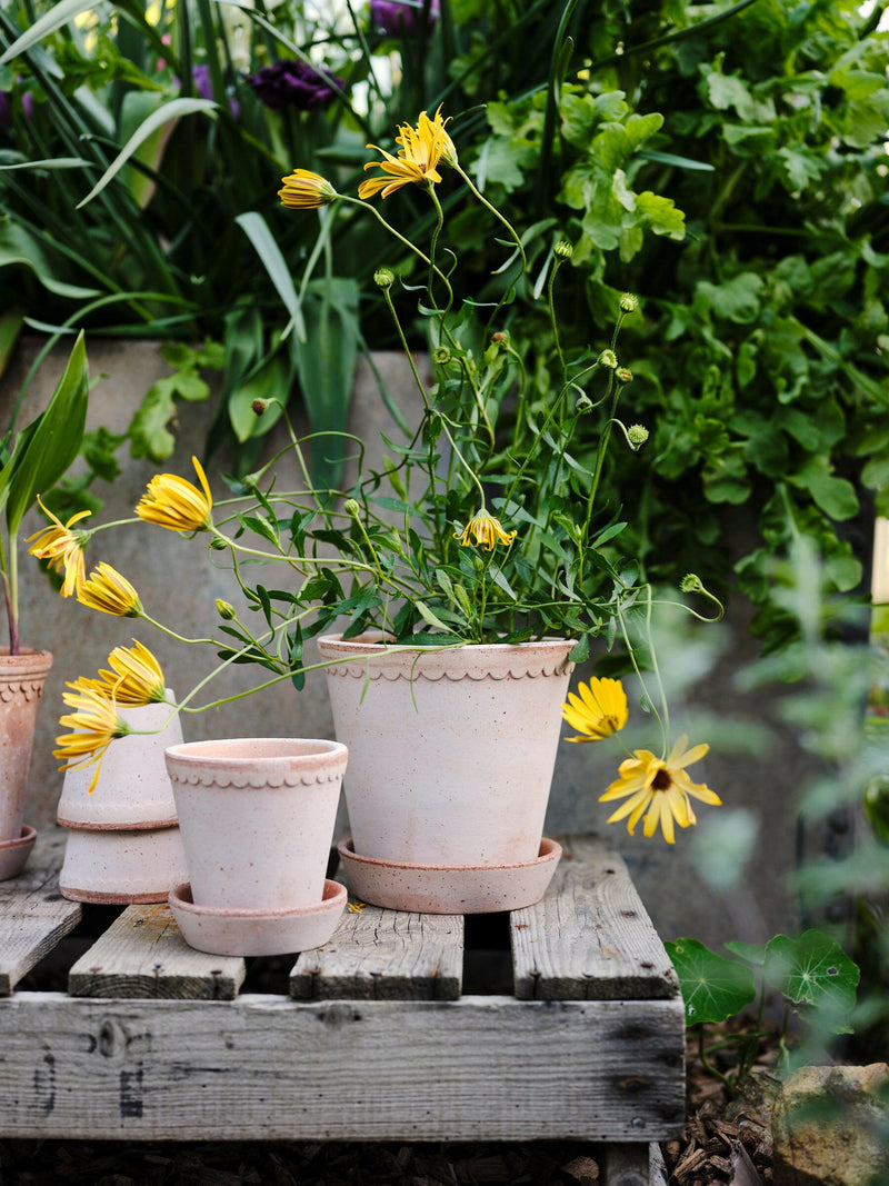 Bergs Potter Inc | Helena Rosa.