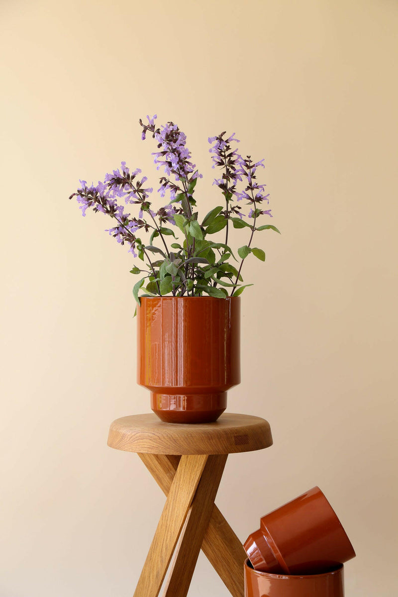 Bergs Potter Hoff Glazed Collection saucer in Quartz Rose, showcasing a minimalist design with terracotta and glazed finish, adding elegance and functionality for plants or candles.