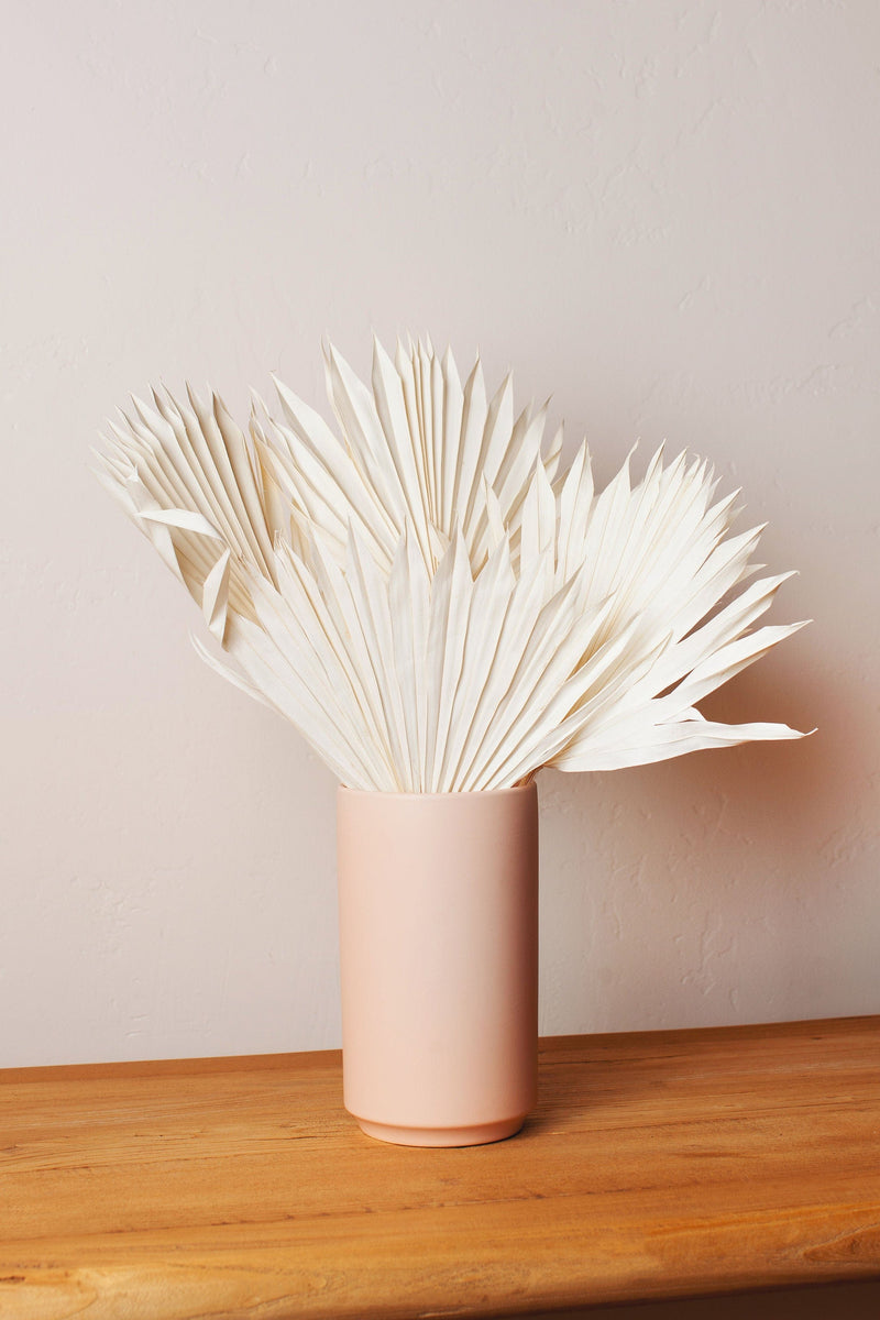 Idlewild Floral Co. | Preserved Two Tone Apricot Bunny Tail