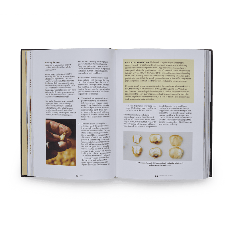 Masienda | MASA: Techniques, Recipes & Reflections on a Timeless Staple