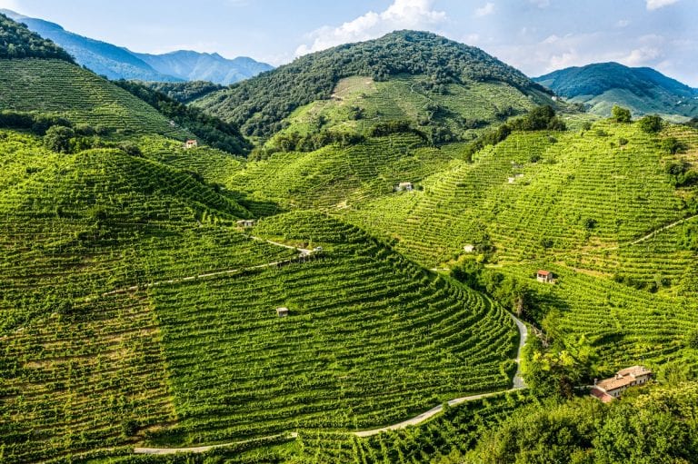 Sorelle Bronca | Prosecco Superior Extra Dry 375 ML