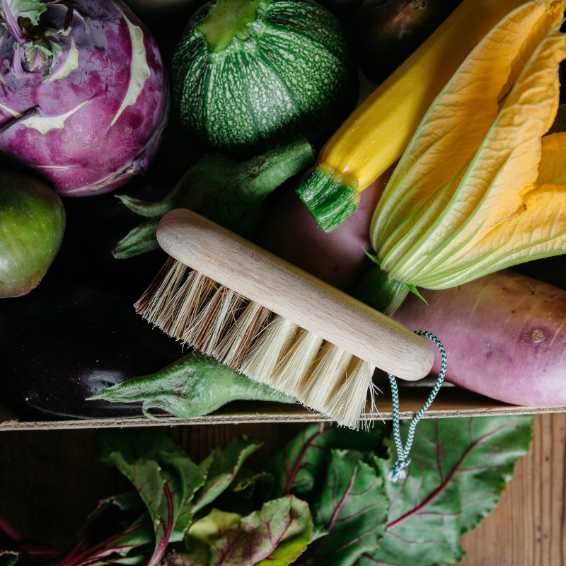 Andrée Jardin | Hard and Soft Fibres Vegetable Brush