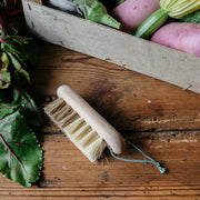 Andrée Jardin Vegetable Brush on a table, designed for cleaning vegetables without peeling, preserving their nutritional value. Ideal for health-conscious cooking.
