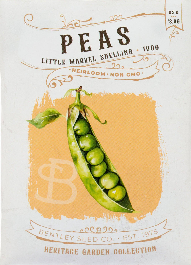 Bentley Seed Co. - Peas-Little Marvel Shelling 1900 vintage-style packet, heirloom, non-GMO, features artwork of an open pea pod with six peas, priced at $3.99.