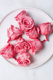 Idlewild Floral Co. - Candy Pink Preserved Roses: A box of 9 bright pink preserved rose heads, ideal for decorative napkin accents or crafting projects.