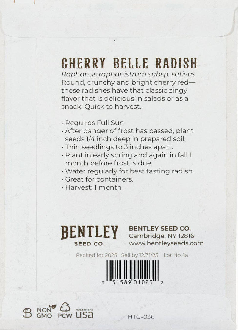 Bentley Seed Co. - Radish-Cherry Belle 1884 seed packet back, detailing planting instructions and features of round, crunchy, cherry-red radishes with a zingy flavor.