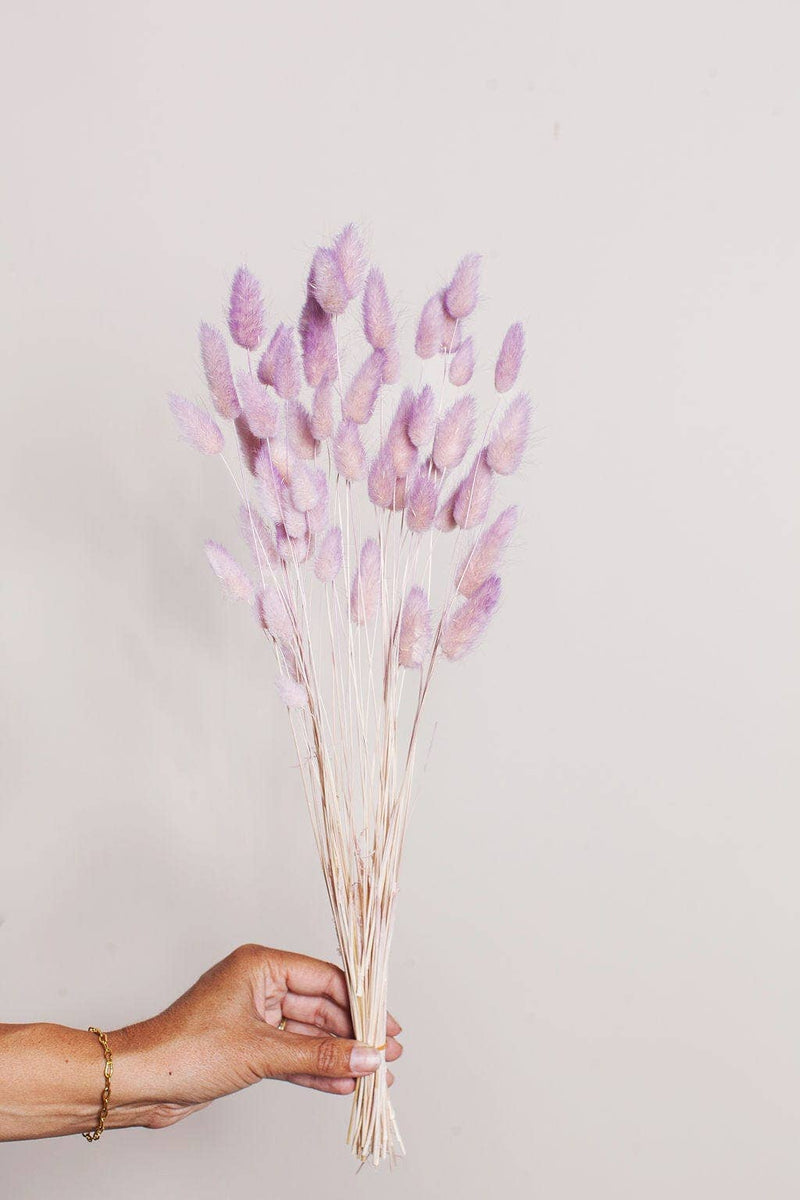Hand holds Idlewild Floral Co. Preserved Two Tone Lavender Blush Bunny Tail, showcasing its vibrant, long-lasting elegance perfect for diverse decor styles.